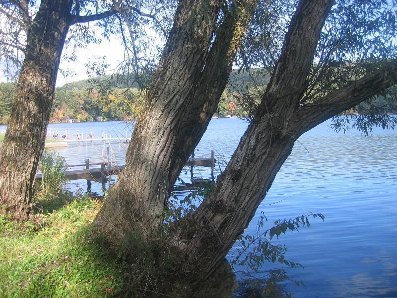 Red Carpet Inn On The Lake - โอนีออนตา ภายนอก รูปภาพ